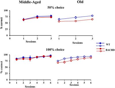 The Alteration of Emotion Regulation Precedes the Deficits in Interval Timing in the BACHD Rat Model for Huntington Disease